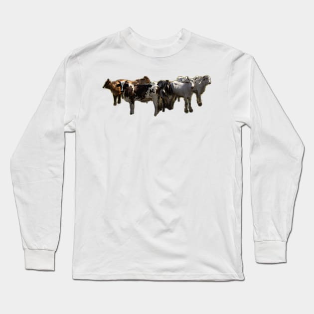 cows Long Sleeve T-Shirt by rickylabellevie